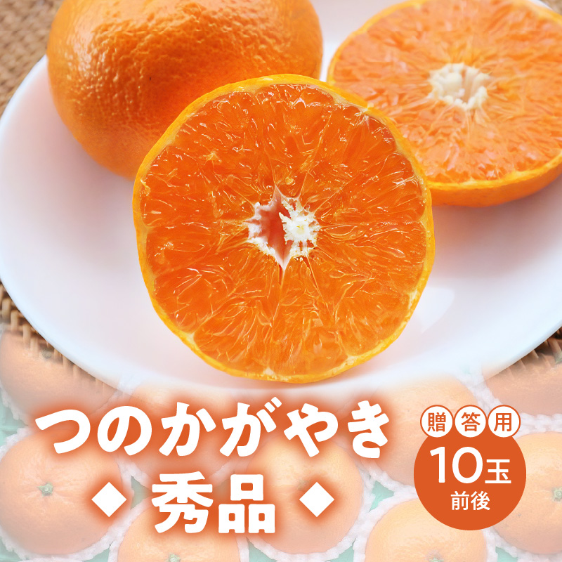 【期間・数量限定！】奄美つのかがやき＜秀品＞化粧箱（8〜15玉入）4L〜Lサイズ【贈答用】　A070-005