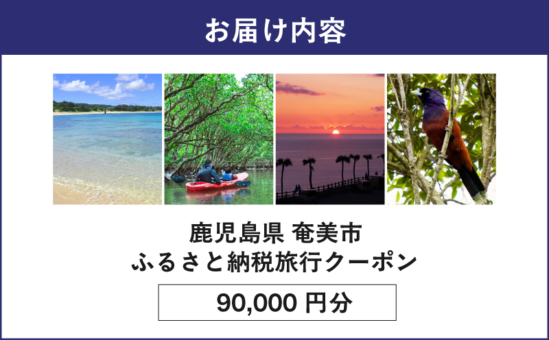 【奄美航空ツーリスト】ふるさと納税旅行クーポン90,000円　A179-FT005