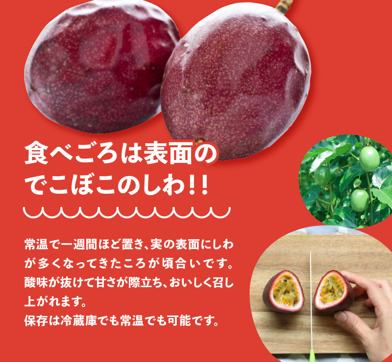 【2024年6月〜出荷】ルビー色のトロピカルフルーツ、パッションフルーツ【家庭用】1.3kg