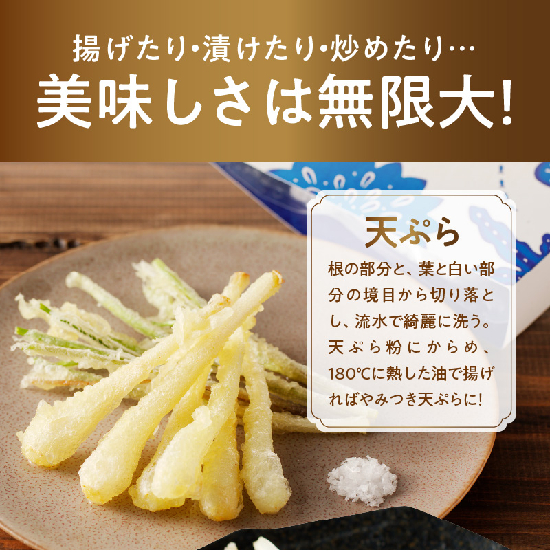 【2026年先行予約】奄美の島らっきょう 1kg　A139-002