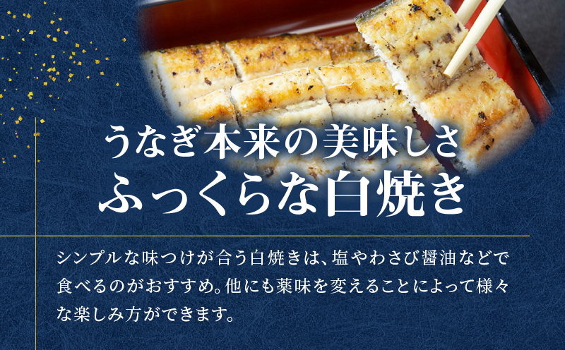 鹿児島県産！老舗うなぎ屋の紅白うなぎ！うなぎのかば焼き1尾（上・150g以上）×1パック・白焼き1尾（上・150g以上）×1パック【贈答用】　A040-012-01