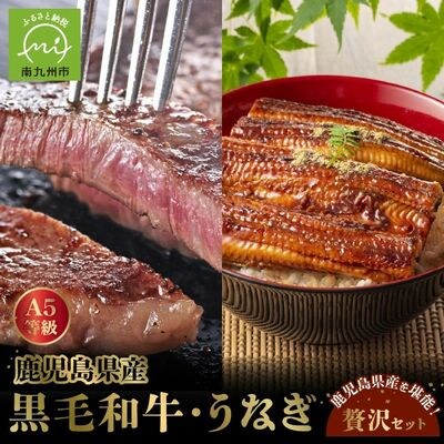 鹿児島県産黒毛和牛A5等級サーロイン4枚・鹿児島県産ウナギ2尾の贅沢セット【配送不可地域：離島】【1185952】