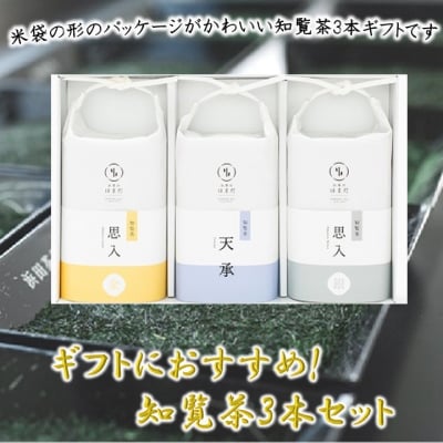 ギフトにおすすめ!知覧茶3本セット【1185803】