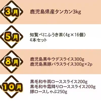 【発送月固定定期便】南九州トクトク定期便ライト全4回【配送不可地域：離島】【4014686】