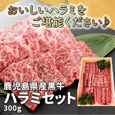 鹿å
å³¶çç£é»æ¯åçãã©ã300gãé
éäžå¯å°åïŒé¢å³¶ãã1185809ã