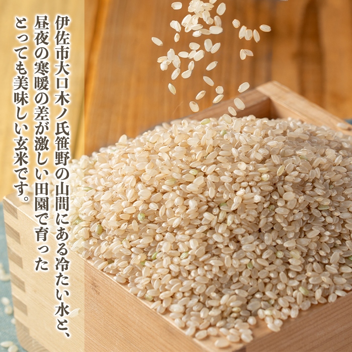 isa560 伊佐のおいしい棚田米〈玄米〉 ヒノヒカリ(計12kg・2kg×6袋)【薩摩美食倶楽部】