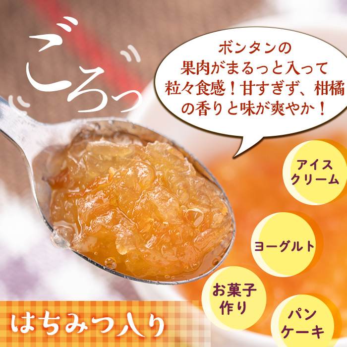 isa546 《数量限定》手作りはちみつ入りボンタンマーマレード(計9個・各140g) ふるさと納税 伊佐市 特産品 加工食品 果物 フルーツ 詰め合わせ 果肉 柑橘 低糖 ハンドメイド ジャム ギフト 【薩摩美食倶楽部】