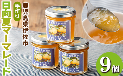 isa550 手作りはちみつ入り日向夏マーマレード(計9個・各140g)日向夏の果肉が入った低糖のハンドメイドジャム【薩摩美食倶楽部】