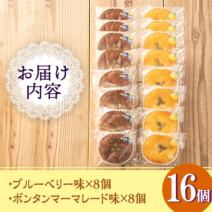 isa412 ＜数量限定＞ジャム菓子2種(ブルーベリー味8個、ボンタン味8個・計16個)【薩摩美食倶楽部】