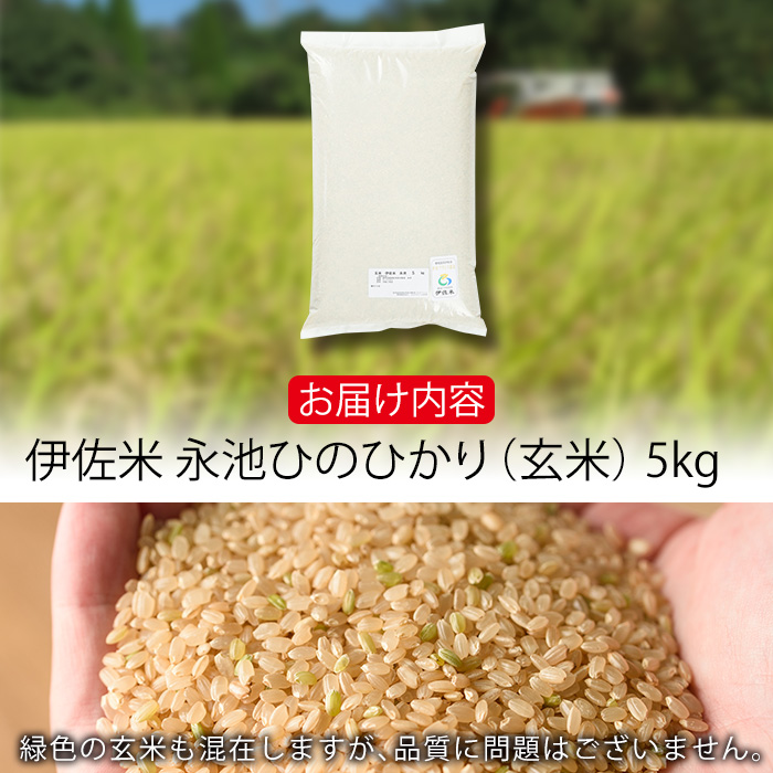 isa400 令和5年産 特別栽培米 永池ひのひかり玄米(5kg) 【エコファーム永池】