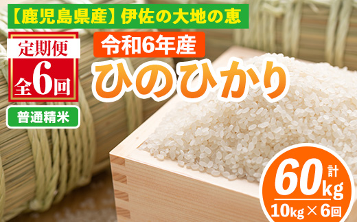 isa520-A 【定期便6回】 ＜普通精米＞令和6年産 鹿児島県伊佐南浦産ひのひかり (合計60kg・計10kg×6ヵ月)【Farm-K】