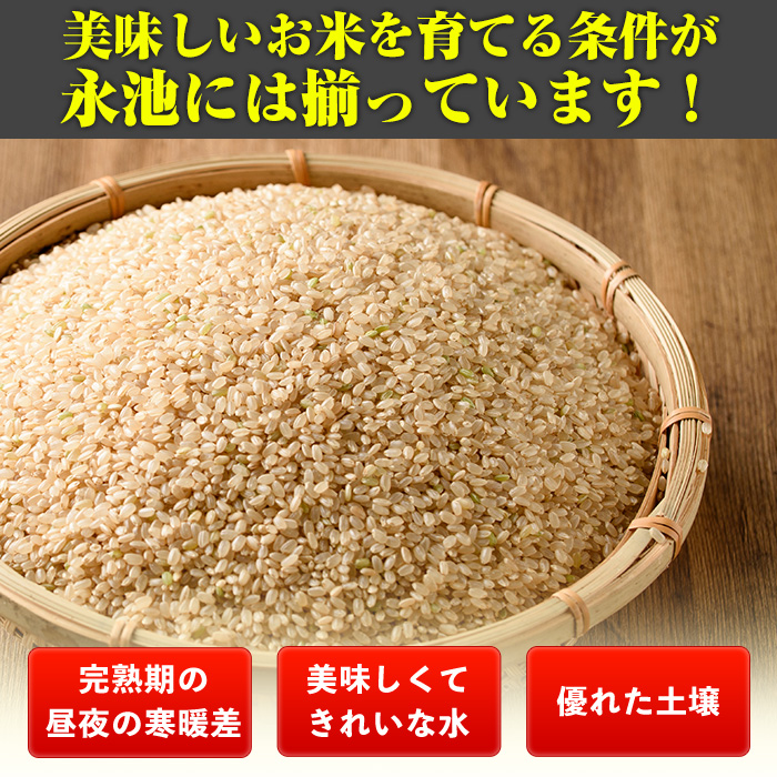 isa537 【定期便】令和6年産 新米 特別栽培米 永池ひのひかり玄米(計15kg・5kg×3ヶ月)【エコファーム永池】