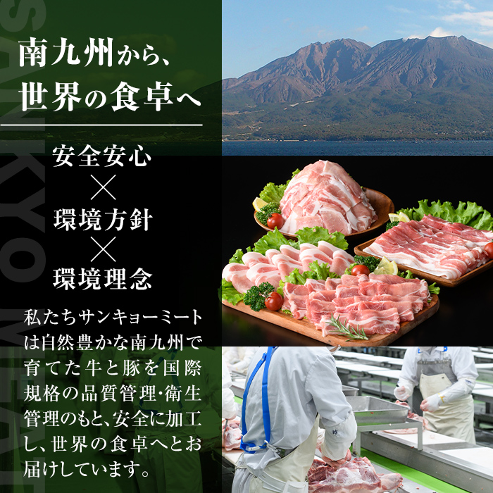 isa646 【定期便3回】豚肉生活応援定期便B(合計6.15kg) 国産 切り落とし バラスライス 肩ロース ロース しゃぶしゃぶ 生姜焼き 真空包装 真空パック 小分け ぶたにく 豚 肉 詰合せ 詰め合わせ 冷凍 【サンキョーミート株式会社】