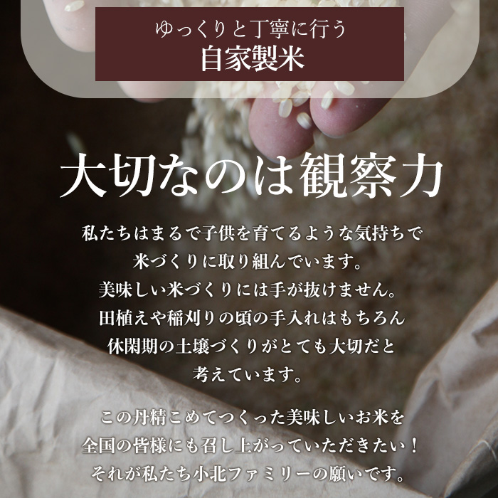 isa599 《数量限定》小北農場のお米 伊佐黄金米〈ヒノヒカリ〉(5kg) 鹿児島 伊佐 お米 特別栽培米 伊佐米 白米 ヒノヒカリ ひのひかり おにぎり ごはん 【小北農場】