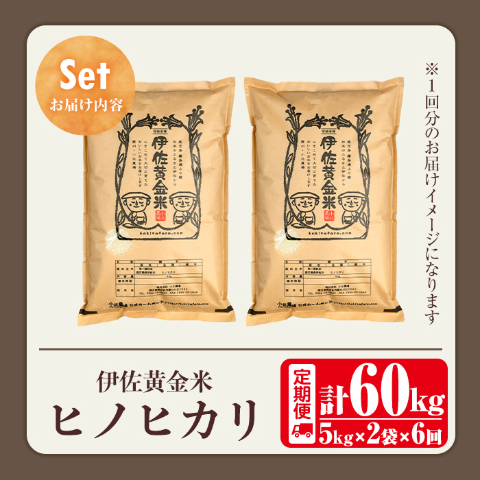 isa792 《数量限定・6回定期便》令和7年産 小北農場のお米 伊佐黄金米〈ヒノヒカリ〉(計60kg・5kg×2袋×6回) 鹿児島 伊佐 お米 60kg 定期便 6回 特別栽培米 伊佐米 白米 ヒノヒカリ ひのひかり おにぎり ごはん  【小北農場】