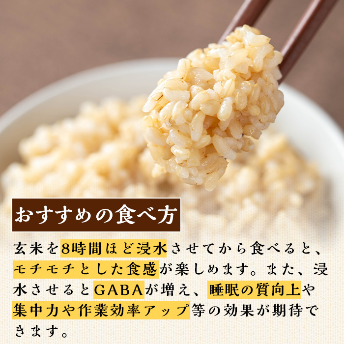 isa664 《毎月数量限定》あんしん玄米(約1kg×3袋・計約3kg) 米 玄米 お米 鹿児島県 伊佐市 健康 食物繊維 腸活 有機肥料 EM農法 【しげふみファーム】