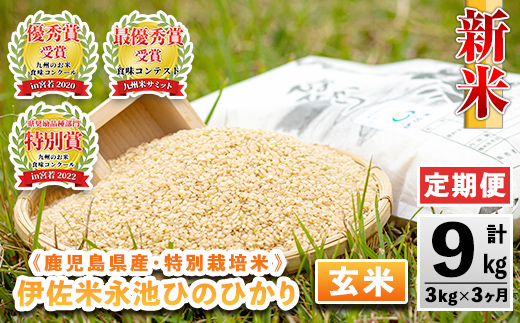 isa536 【定期便】令和6年産 新米 特別栽培米 永池ひのひかり玄米(計9kg・3kg×3ヶ月)【エコファーム永池】