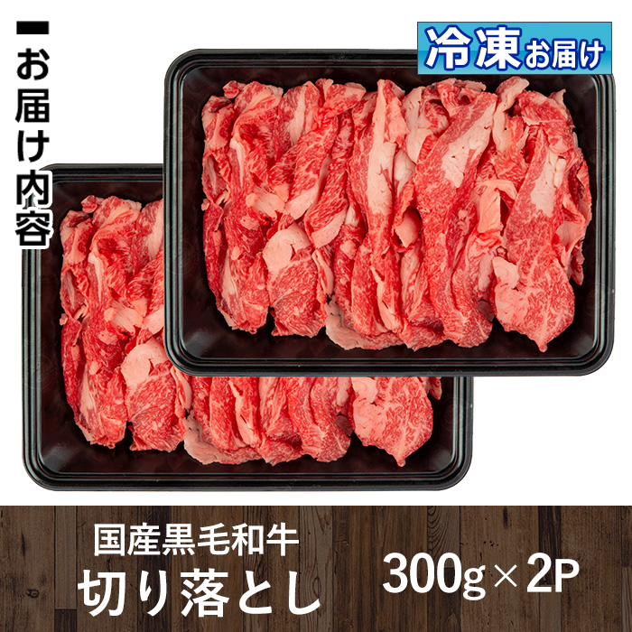 isa508 国産黒毛和牛 切り落とし(計600g・300g×2P)【お肉の直売所 伊佐店】