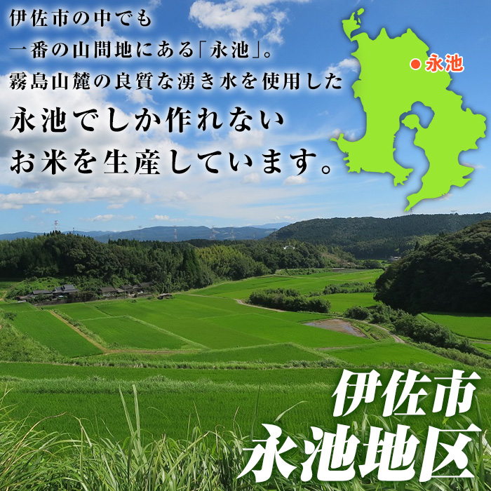 isa541 【定期便】令和5年産 特別栽培米 伊佐米永池ひのひかり(計30kg・10kg×3ヶ月)【エコファーム永池】