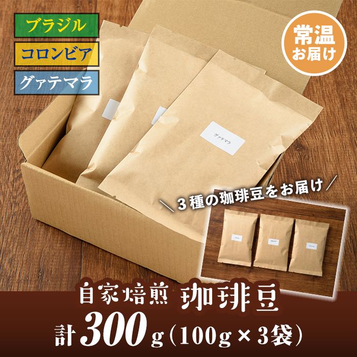 isa198 自家焙煎珈琲豆3袋(計300g・100g×3種)時間と手間をかけて徹底したハンドピックで選び抜いたコーヒー豆を、少量づつ丁寧に焙煎！3種飲み比べも！【工房ゆう】