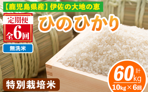 isa517-B 縲仙ョ壽悄萓ソ6蝗槭 シ懃┌豢礼アウシ樔サ、蜥7蟷エ逕」 鮖ソ蜈仙ウカ逵御シ贋ス千肇 迚ケ蛻・譬ス蝓ケ縺イ縺ョ縺イ縺九j(險60kg繝サ10kgテ6繝オ譛) 蝗ス逕」 逋ス邀ウ 邊セ邀ウ 辟。豢礼アウ 莨贋ス千アウ 縺顔アウ 邀ウ 逕溽肇閠 縺イ縺ョ縺イ縺九j 螳壽悄萓ソ 縲色arm-K縲