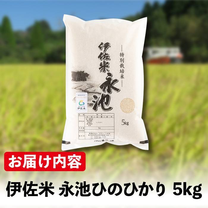 Z7-01 令和5年産 特別栽培米 永池ひのひかり(5kg)【エコファーム永池】