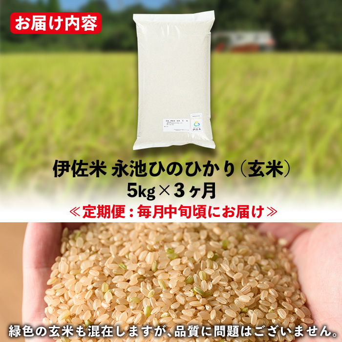 isa537 【定期便】令和5年産 特別栽培米 永池ひのひかり玄米(計15kg・5kg×3ヶ月)【エコファーム永池】