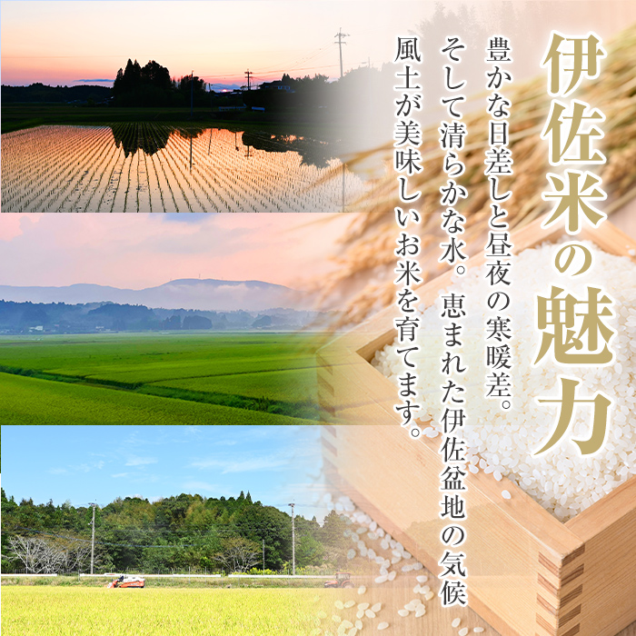 A7-03 いさひかり(5kg×2袋・計10kg) ふるさと納税 伊佐市 特産品 お米 米 白米 精米 伊佐米 ご飯 ヒノヒカリ【JA北さつま】