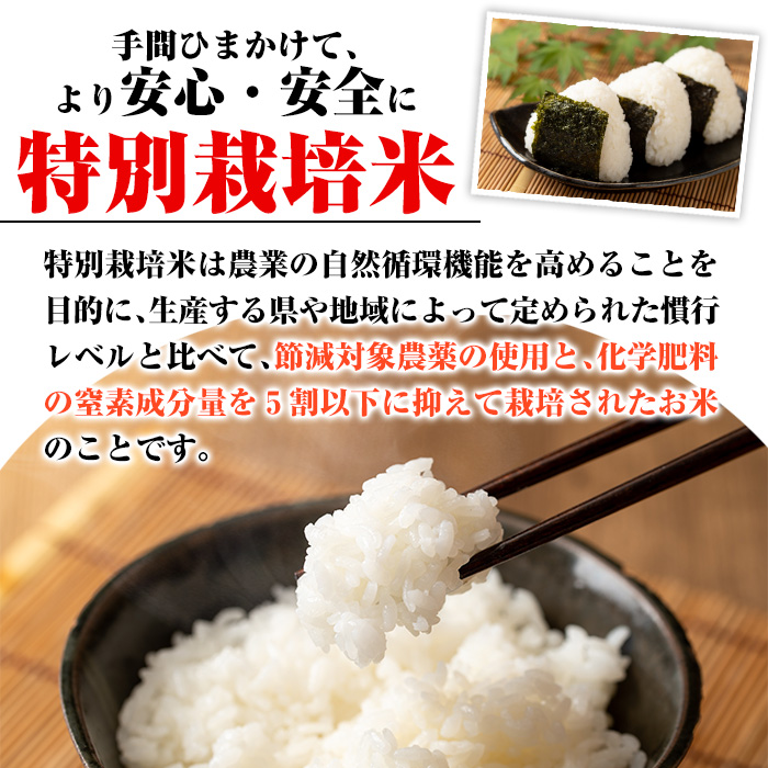 D2-04 【定期便】令和5年産 特別栽培米 伊佐米永池ひのひかり(計30kg・5kg×6ヶ月)【エコファーム永池】