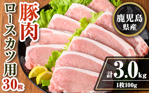 isa708 鹿児島県産 豚肉ロースカツ用30枚セット(計3kg) 鹿児島県産 豚 ブタ ぶた 豚肉 肉 ロース とんかつ ポークステーキ トンテキ 冷凍 【TRINITY】