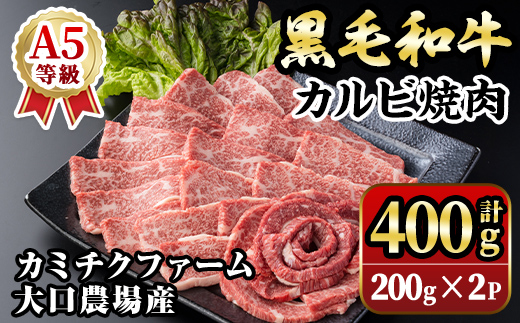 isa690 鹿児島県(カミチクファーム 大口農場)産 黒毛和牛カルビ焼肉(計400g・200g×2パック) 黒毛和牛 カルビ 焼肉 和牛 国産牛 高級肉 A5 ランク 雌牛 霜降り 旨味 口どけ 牛肉 焼肉用 BBQ バーベキュー アウトドア 冷凍 小分け 【お肉の直売所 伊佐店】