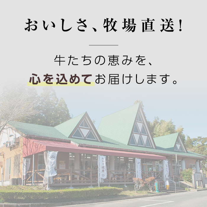 isa508 国産黒毛和牛 切り落とし(計600g・300g×2P)【お肉の直売所 伊佐店】