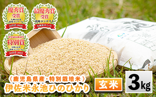isa535 令和5年産 特別栽培米 永池ひのひかり玄米(3kg)【エコファーム永池】