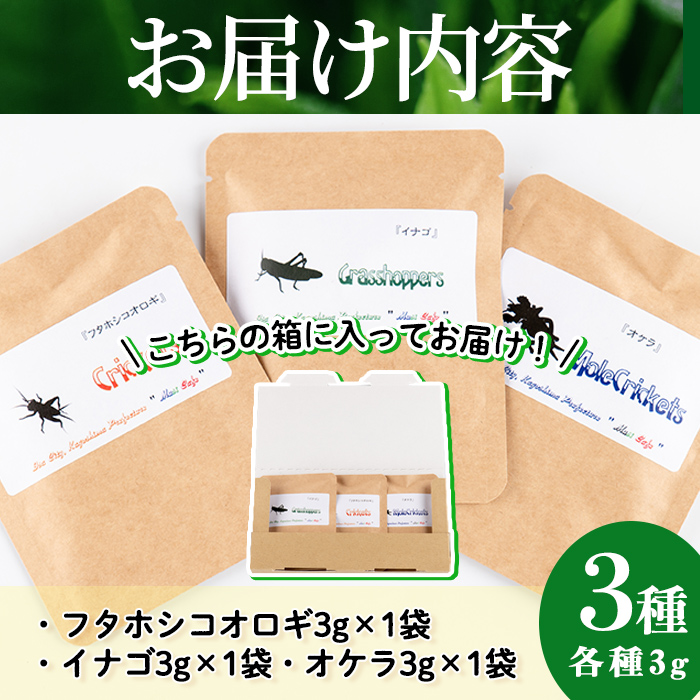 isa385 むしカフェ・昆虫食べ比べ3種！(各種3g)フタホシコオロギ・イナゴ・オケラ【いさ工房】