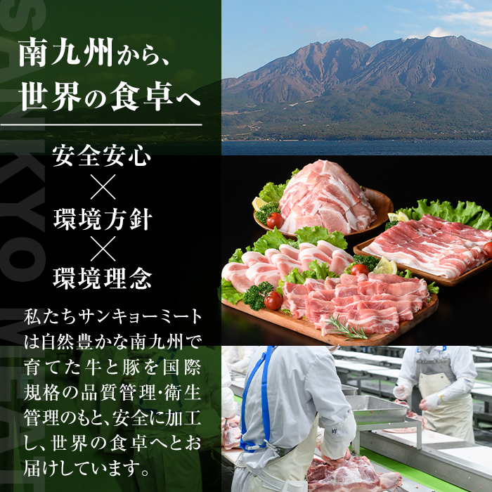 isa514 【定期便３回】九州産 豚肉4種セット(合計6.75kg・2.25kg×全3回)【サンキョーミート株式会社】