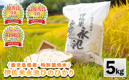 Z7-01 《数量限定》令和7年産 特別栽培米 伊佐米永池ひのひかり(5kg) 伊佐市 永池 特産品 伊佐米 九州米サミット 食味コンテスト 最優秀賞受賞 ヒノヒカリ 5kg 【エコファーム永池】