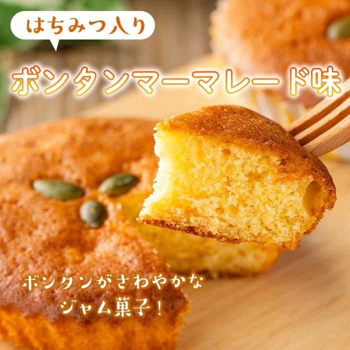 isa411 ïŒæ°ééå®ïŒãžã£ã èå3çš®(ãã«ãŒããªãŒå³6åããã³ã¿ã³å³6åã»ããŒã¡ãå³6åã»èš18å)ãè©æ©çŸé£å¶æ¥œéšã