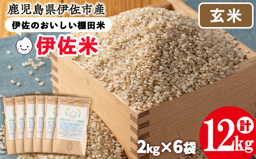 isa560 伊佐のおいしい棚田米〈玄米〉 ヒノヒカリ(計12kg・2kg×6袋)【薩摩美食倶楽部】