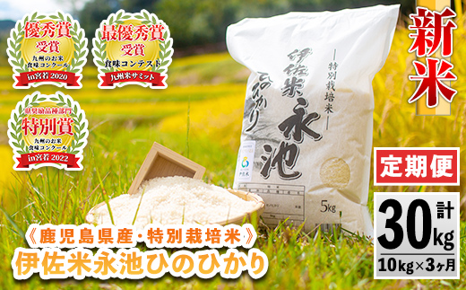 isa541 【定期便】令和6年産 新米 特別栽培米 伊佐米永池ひのひかり(計30kg・10kg×3ヶ月)【エコファーム永池】