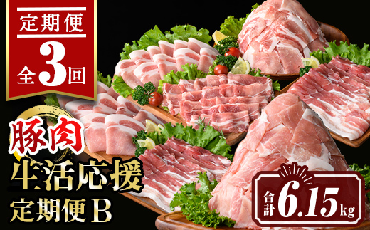 isa646 【定期便3回】豚肉生活応援定期便B(合計6.15kg) 国産 切り落とし バラスライス 肩ロース ロース しゃぶしゃぶ 生姜焼き 真空包装 真空パック 小分け ぶたにく 豚 肉 詰合せ 詰め合わせ 冷凍 【サンキョーミート株式会社】