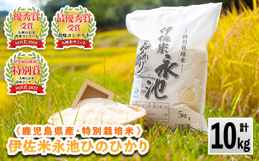 A4-06 令和5年産 特別栽培米 永池ひのひかり(計10kg・5kg×2袋)【エコファーム永池】