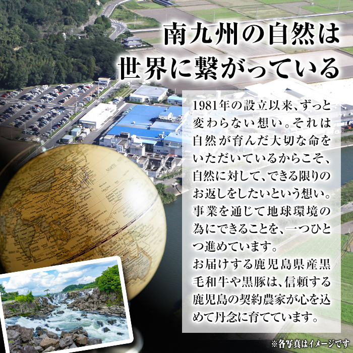 isa883 鹿児島県産黒毛和牛 肩ロース スライス350g/焼肉用300g(合計650g・各1P) 4等級以上！ 国産 牛肉 霜降り 国産 牛肉 霜降り 食べ比べ セット 家庭用 冷凍 【サンキョーミート】