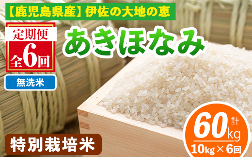 isa616-B 【定期便6回】＜無洗米＞令和7年産 鹿児島県伊佐産 特別栽培あきほなみ(計60kg・10kg×6ヵ月) 国産 白米 精米 無洗米 伊佐米 お米 米 生産者 定期便 あきほなみ アキホナミ 特別栽培米 【Farm-K】