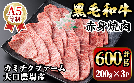 isa691 鹿児島県(カミチクファーム 大口農場)産 黒毛和牛赤身焼肉(計600g・200g×3パック) 黒毛和牛 赤身 焼肉 和牛 国産牛 高級肉 A5 ランク 雌牛 牛肉 焼肉用 BBQ バーベキュー アウトドア キャンプ  高タンパク 冷凍 小分け 【お肉の直売所 伊佐店】