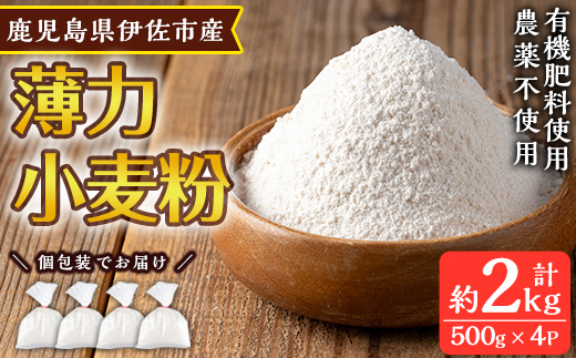 isa480《毎月数量限定》あんしん小麦粉・薄力粉(約500g×4袋・計約2kg）【しげふみファーム】