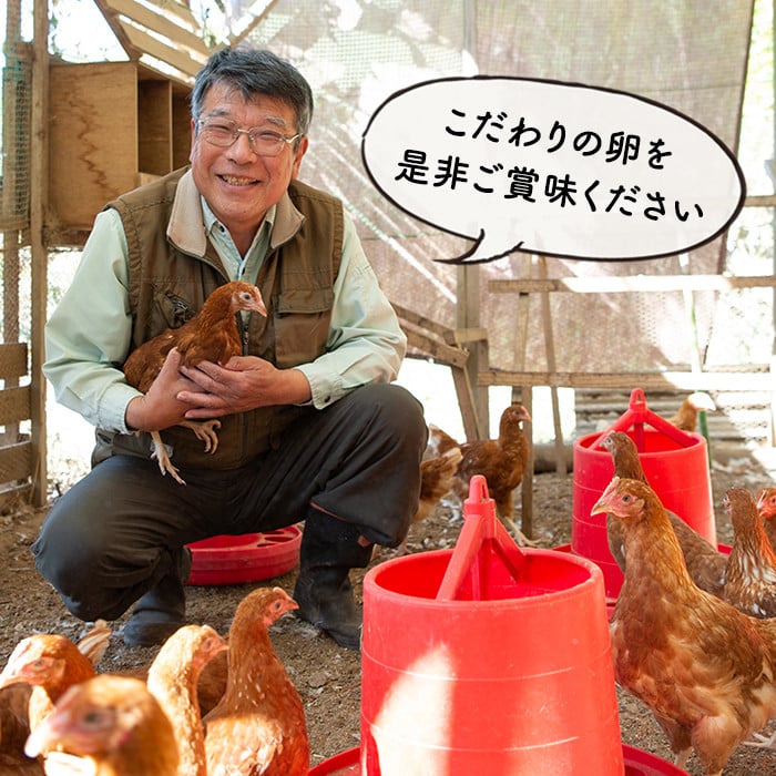 isa529 【定期便】いちき農園のこだわり卵(計480個・40個×12カ月)【いちき農園】