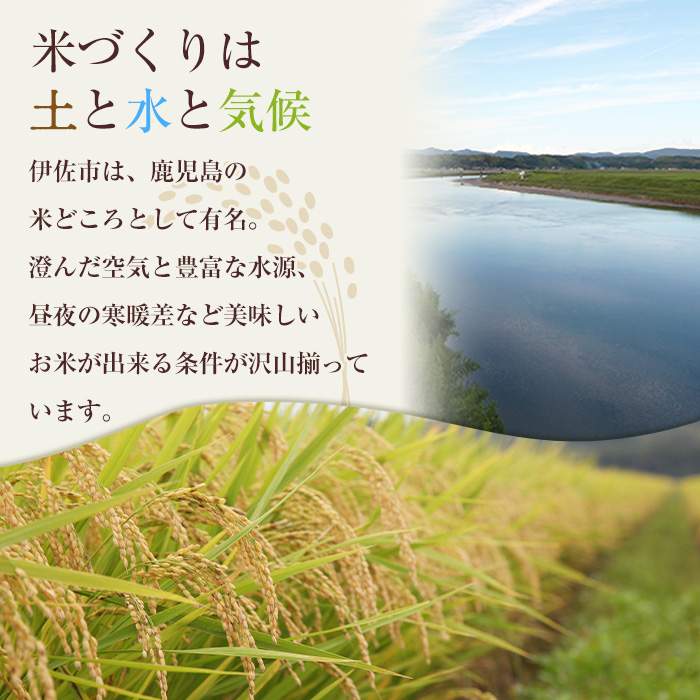 isa600 《数量限定》小北農場のお米 伊佐黄金米〈ヒノヒカリ〉(計10kg・5kg×2袋) 鹿児島 伊佐 お米 特別栽培米 伊佐米 白米 ヒノヒカリ ひのひかり おにぎり ごはん 【小北農場】