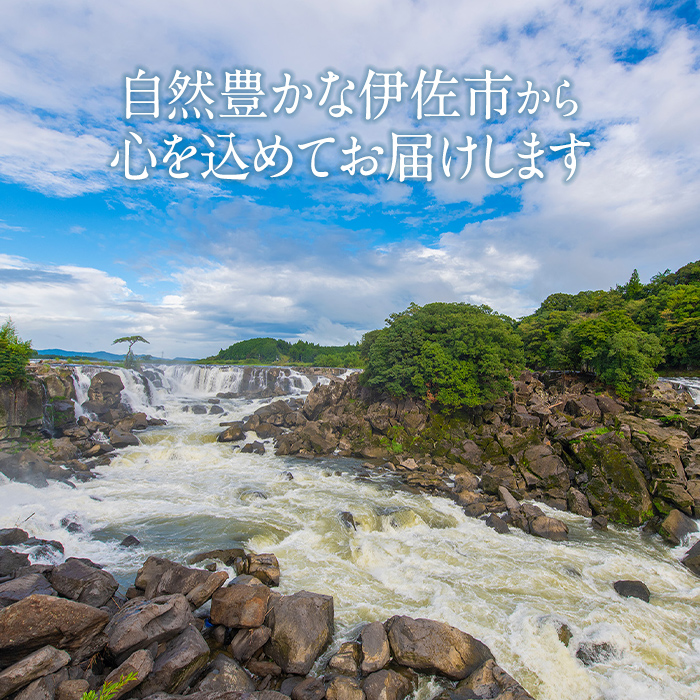 isa749 野草庵オリジナル 薬膳コーラシロップ・薬膳ジンジャーシロップセット(各200ml×1本) 薬膳コーラ 薬膳ジンジャー コーラシロップ ジンジャーシロップ 薬膳ドリンク クラフトコーラ ジンジャーエール 健康 美容 スパイス 【やさしいまち】