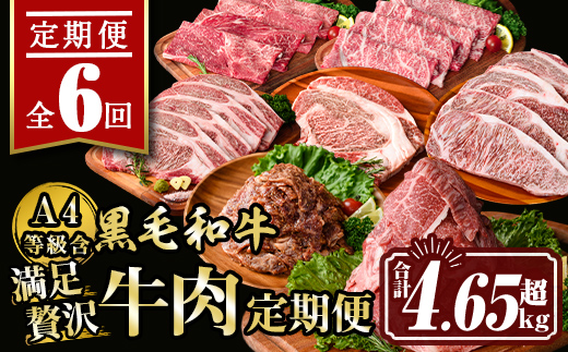 isa513 【定期便６回】満足贅沢 牛肉定期便(合計4.65kg超) 【サンキョーミート株式会社】