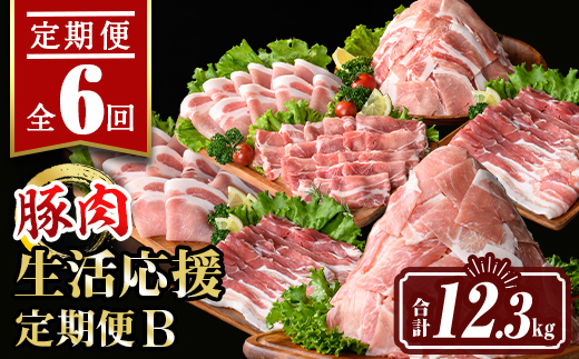 isa647 【定期便6回】豚肉生活応援定期便B(合計12.3kg) 国産 切り落とし バラスライス 肩ロース ロース しゃぶしゃぶ 生姜焼き 真空包装 真空パック 小分け ぶたにく 豚 肉 詰合せ 詰め合わせ 冷凍 【サンキョーミート株式会社】